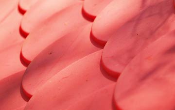 Great Kendale plastic roof costs