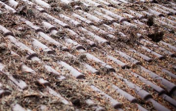 Great Kendale roof cleaning companies