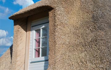Great Kendale thatch roof disadvantages
